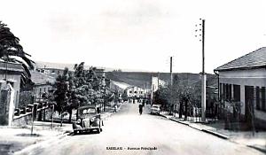 RABELAIS - AVENUE PRINCIPALE